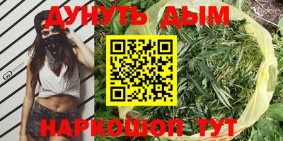 индика Нарткала