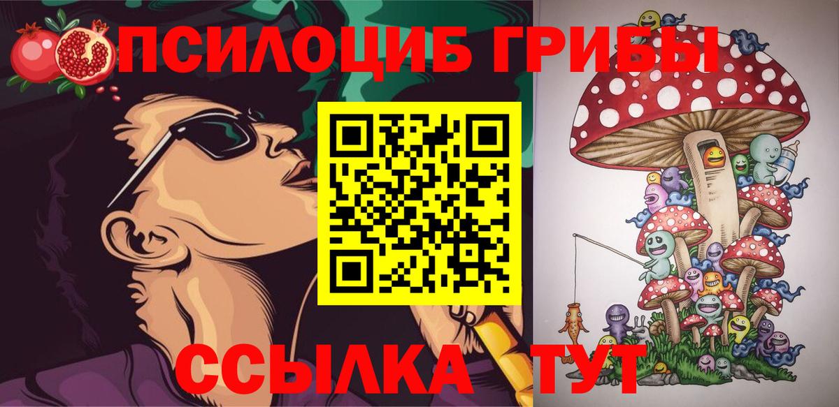 Псилоцибиновые грибы Magic Shrooms  закладки  Хабаровск  Вход с VPN  Галлюциногенные грибы Psilocybe 